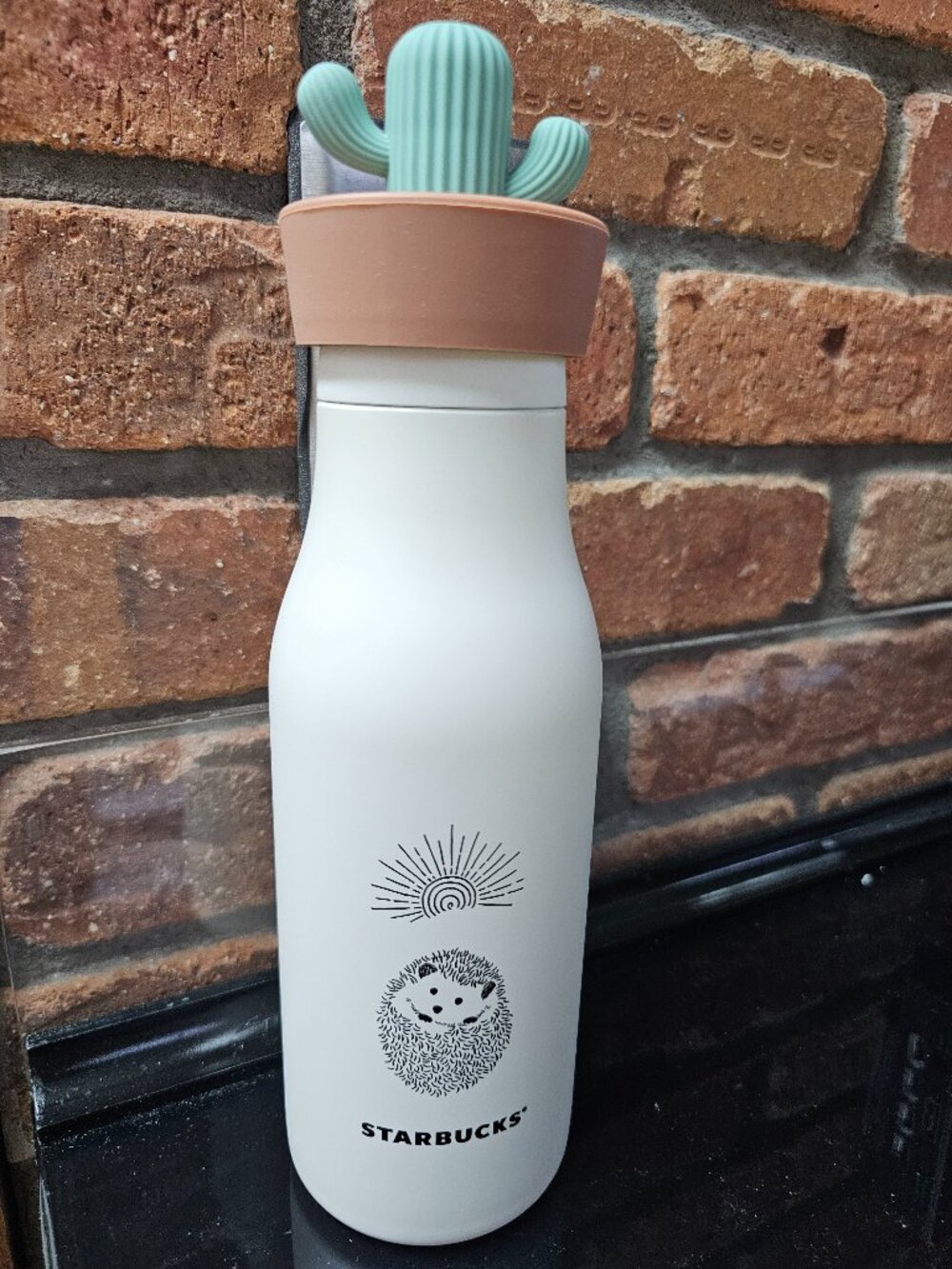 Starbucks Asia Imported 2021 Happy Hedgehog Cactus SS Insulated Bottle 16oz NEW